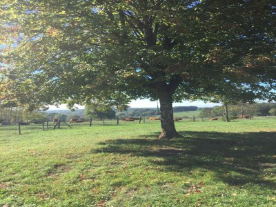 Holiday house Charming holiday home with private pool - Outdoor photo 11