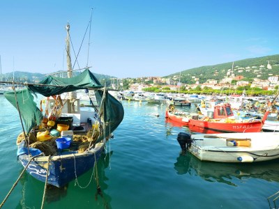 Holiday house Luxurious home near the sea in Lerici - Environment photo 23