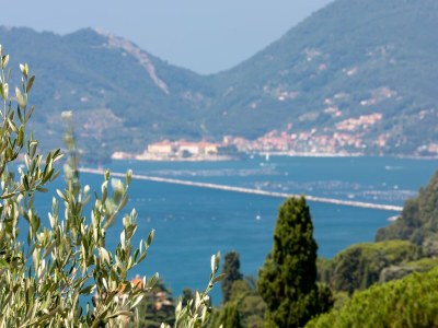 Holiday house Luxurious home near the sea in Lerici - Environment photo 24