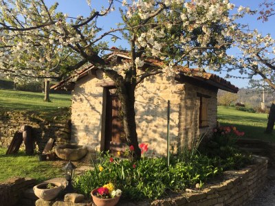 Holiday apartment Cascina Curairone - Environment photo 14