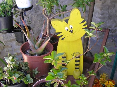 Holiday apartment Cascina Curairone - Environment photo 16