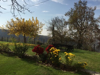 Holiday apartment Cascina Curairone - Environment photo 18