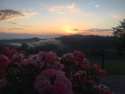 Holiday apartment Cascina Curairone - Environment photo 20