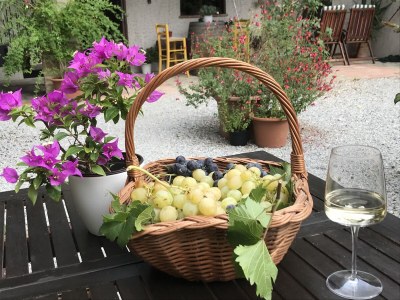 Holiday apartment Cascina Curairone - Environment photo 22