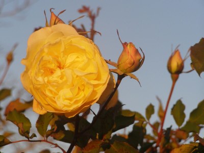 Holiday apartment Cascina Curairone - Environment photo 24