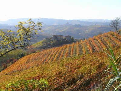 Holiday apartment Cascina Curairone - Environment photo 32