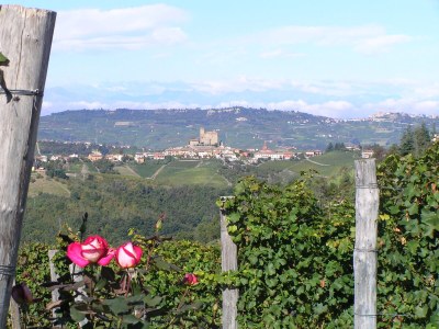 Holiday apartment Cascina Curairone - Environment photo 34