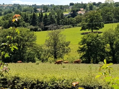 Holiday house Wohnung 100 m vom Atlantik entfernt. - Outdoor photo 6