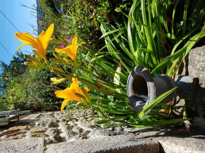 Holiday house Wohnung 100 m vom Atlantik entfernt. - Outdoor photo 12