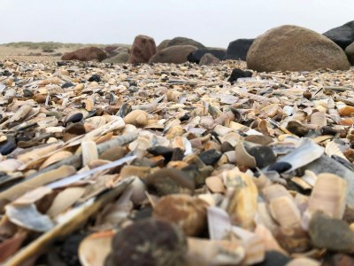 Holiday house 6 person holiday home in Blåvand - Outdoor photo 7