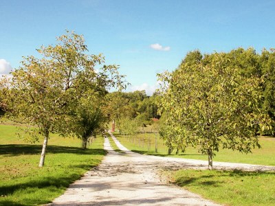 Holiday house Marvelous Holiday Home in Issac with Swimming Pool - Outdoor photo 11