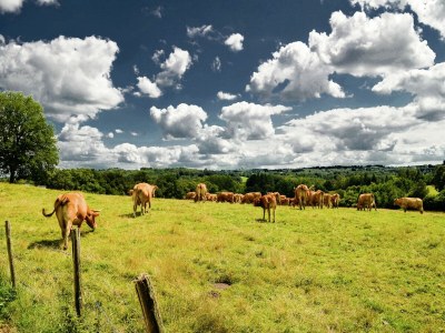 Holiday house Marvelous Holiday Home in Issac with Swimming Pool - Environment photo 32