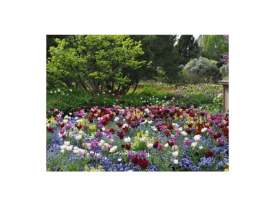 Holiday apartment No title - Environment photo 24