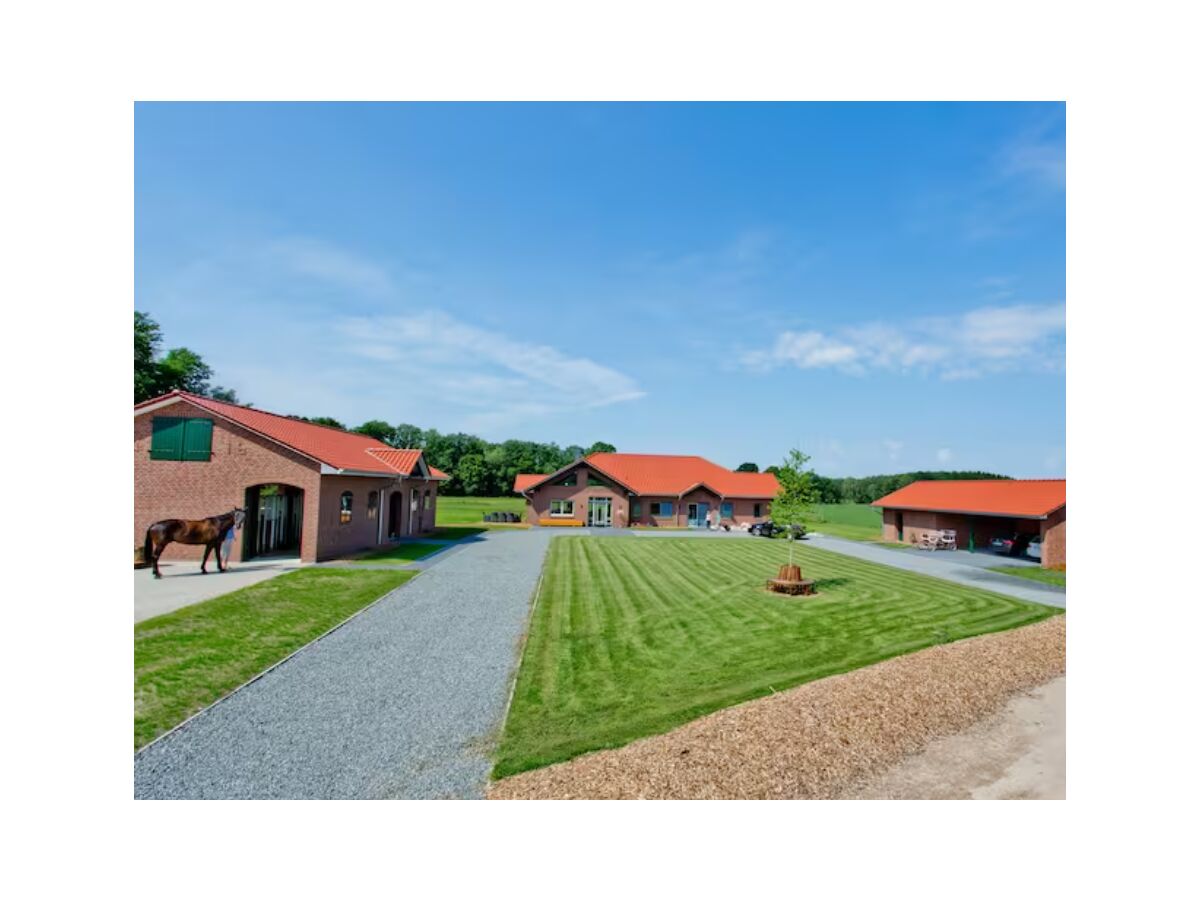 Cottage HeiDeluxe country house with sauna & alpacas - Outdoor photo 2