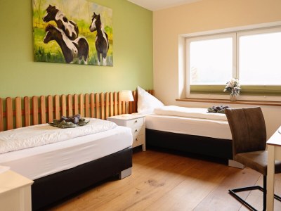 Cottage HeiDeluxe country house with sauna & alpacas - Features photo 12