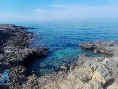 Holiday house Trullo in Salento in Nähe des Strandes Punta Pizzo - Environment photo 29