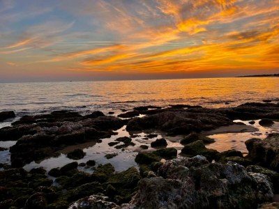 Holiday house Trullo in Salento in Nähe des Strandes Punta Pizzo - Environment photo 30