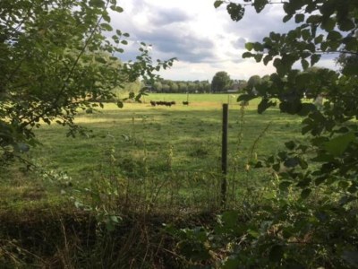 Holiday park Holiday Home in Brabant with Private Spa - Environment photo 17