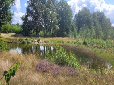 Holiday park Holiday Home in Brabant with Private Spa - Environment photo 22