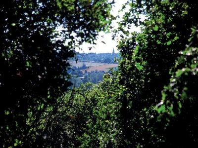 Holiday park Safari Tent in Arcen near Nature - Environment photo 30