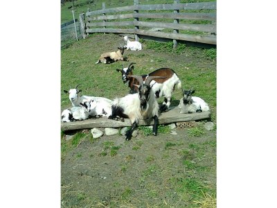 Apartment Apartment Johanna/2 Schlafräume/Dusche, - Outdoor photo 13