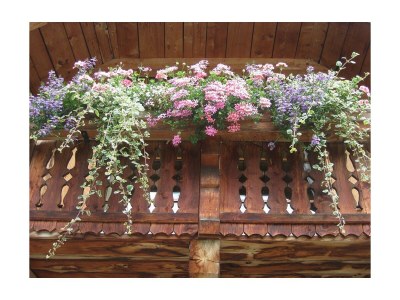 Apartment Apartment Johanna/2 Schlafräume/Dusche, - Outdoor photo 14