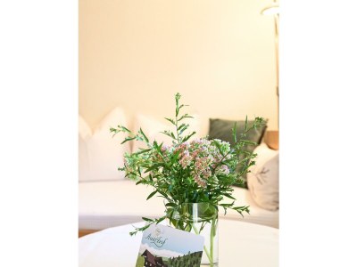 Apartment Apartment Johanna/2 Schlafräume/Dusche, - Outdoor photo 28