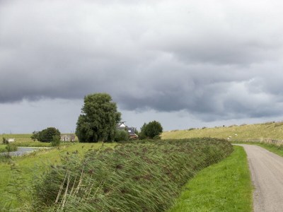 Holiday house Kerkuil - Environment photo 15