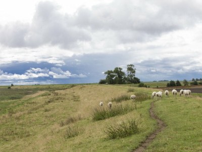 Holiday house Kerkuil - Environment photo 16