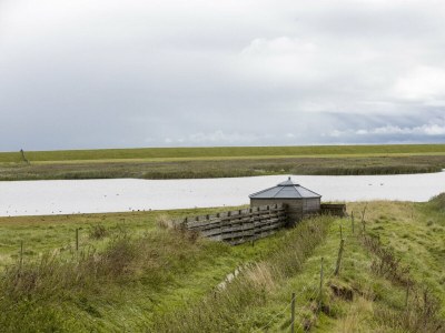 Holiday house Kerkuil - Environment photo 17