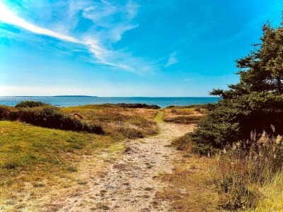 Holiday house 7 person holiday home in Løgstør-By Traum - Outdoor photo 11