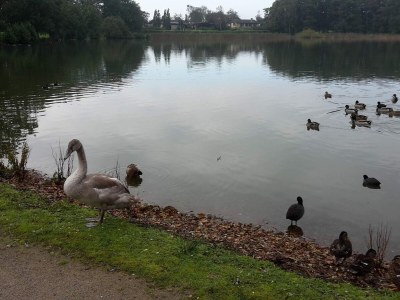 Holiday house 7 person holiday home in Løgstør-By Traum - Outdoor photo 20