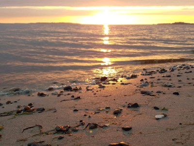 Holiday house 7 person holiday home in Løgstør-By Traum - Outdoor photo 32