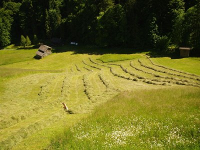 Holiday house Chalet in Tyrol with Sauna and Ski Slopes - Outdoor photo 11