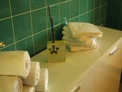 Holiday house Chalet in Tyrol with Sauna and Ski Slopes - Features photo 29