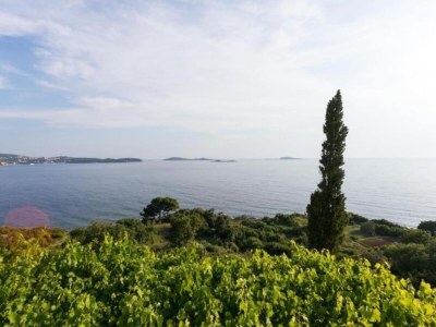 Apartment Villa Samba - Standard One-Bedroom Apartment with Balcony and Sea View - Outdoor photo 36