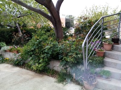 Apartment 2 bedroom apartment with terrace - Outdoor photo 6