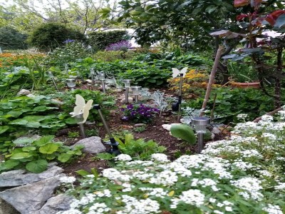 Apartment Apartments Vanja Škara Biograd - Studio Apartment with Terrace - Outdoor photo 3