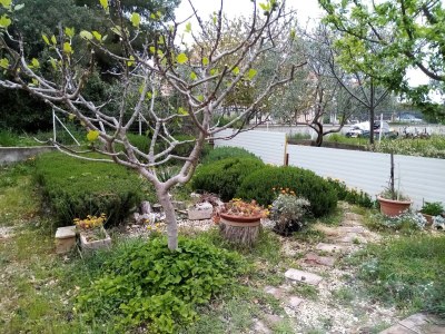 Apartment Apartments Vanja Škara Biograd - Studio Apartment with Terrace - Outdoor photo 6