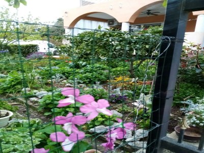 Apartment Apartments Vanja Škara Biograd - Studio Apartment with Terrace - Outdoor photo 8