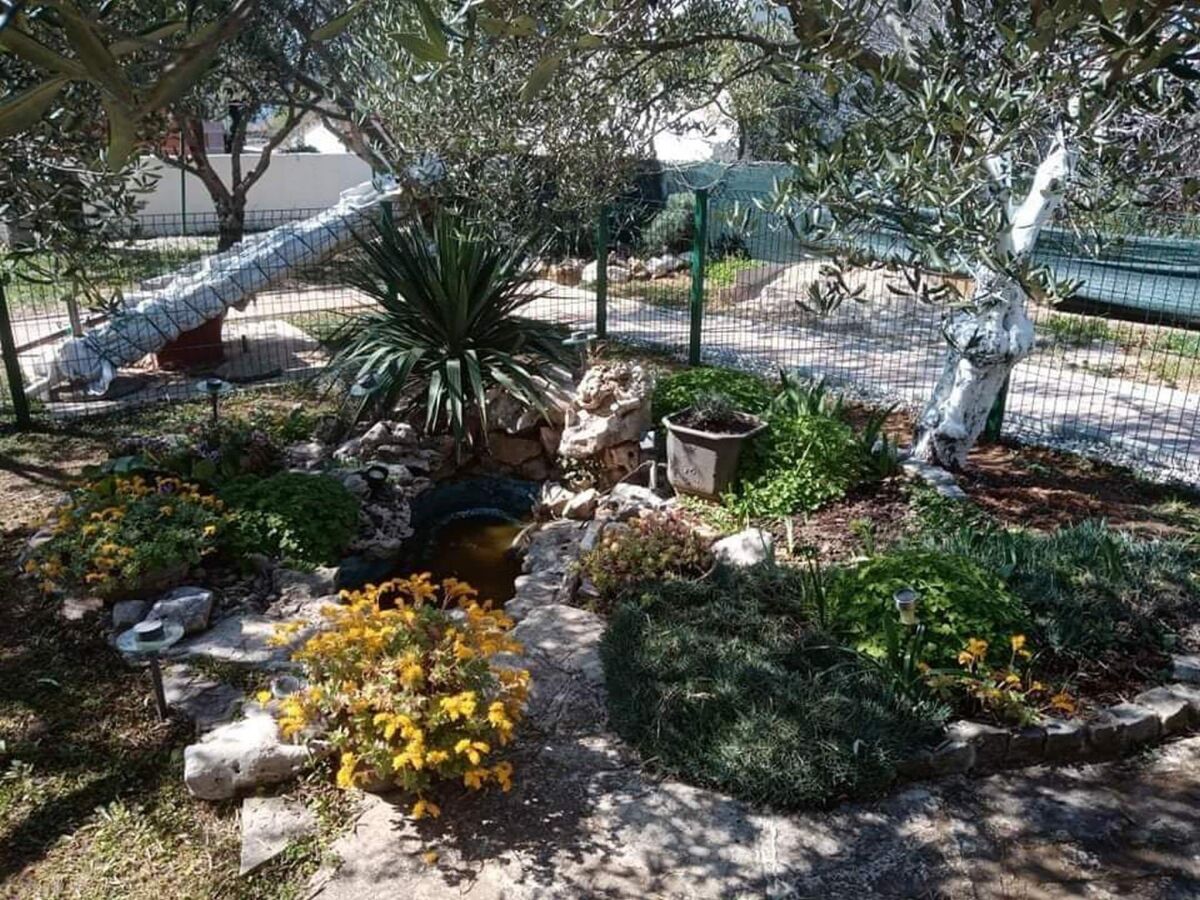 Apartment Apartments Marija - One Bedroom Apartment with Balcony and Sea View (Žuti A2) - Outdoor photo 3