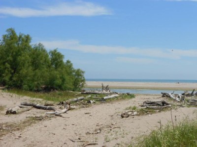 Holiday house Holiday home in Rosolina Mare - Environment photo 20