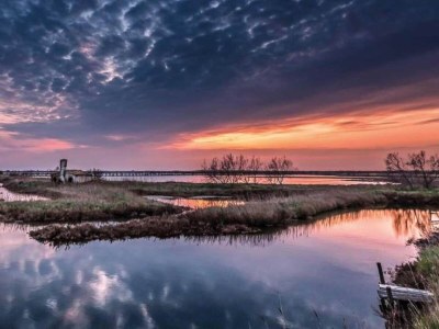 Holiday house Holiday home in Rosolina Mare - Environment photo 29