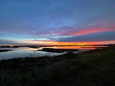 Holiday house Holiday home in Rosolina Mare - Environment photo 31