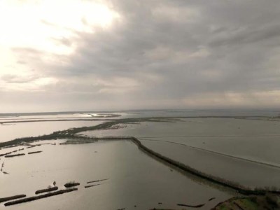 Holiday house Holiday home in Rosolina Mare - Environment photo 32