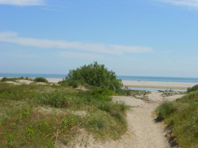 Holiday house Holiday home in Rosolina Mare - Environment photo 33