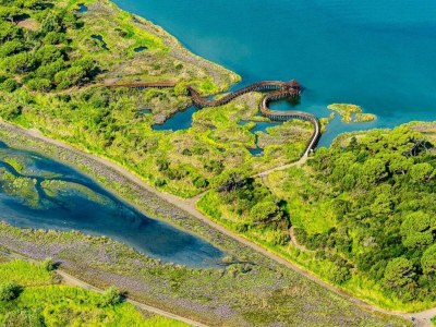 Apartment Ferienhaus in Rosolina Mare am Strand - Environment photo 20
