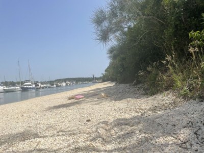 Holiday apartment Chill'in Istria - Outdoor photo 3