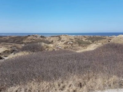 Holiday house 10 person holiday home in Blåvand - Outdoor photo 38