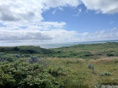 Holiday house 10 person holiday home in Blåvand - Outdoor photo 39